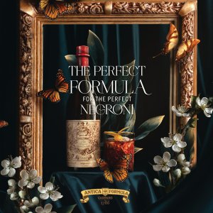  Ein Negroni Cocktail in stilvollem Ambiente mit Blumen