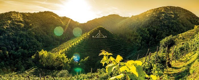 Hügel des Prosecco-Herstellers Ruggeri in Valdobbiadene. Prosecco-Manufaktur im Herzen des UNESCO-Weltkulturerbes seit 2019. Malerische Landschaft und renommierte Weinkultur