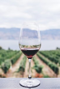 Genussmoment mit Rotwein und Weinbergen im Hintergrund